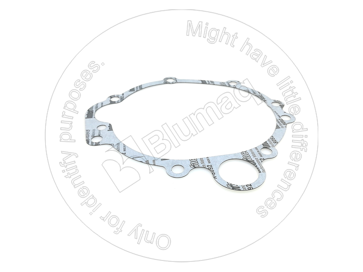 3P-0884 BLUMAQ Gasket