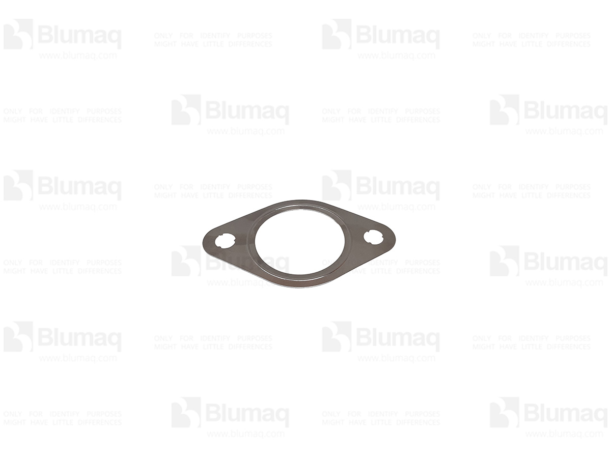 6742-01-0820 Gasket for BLUMAQ