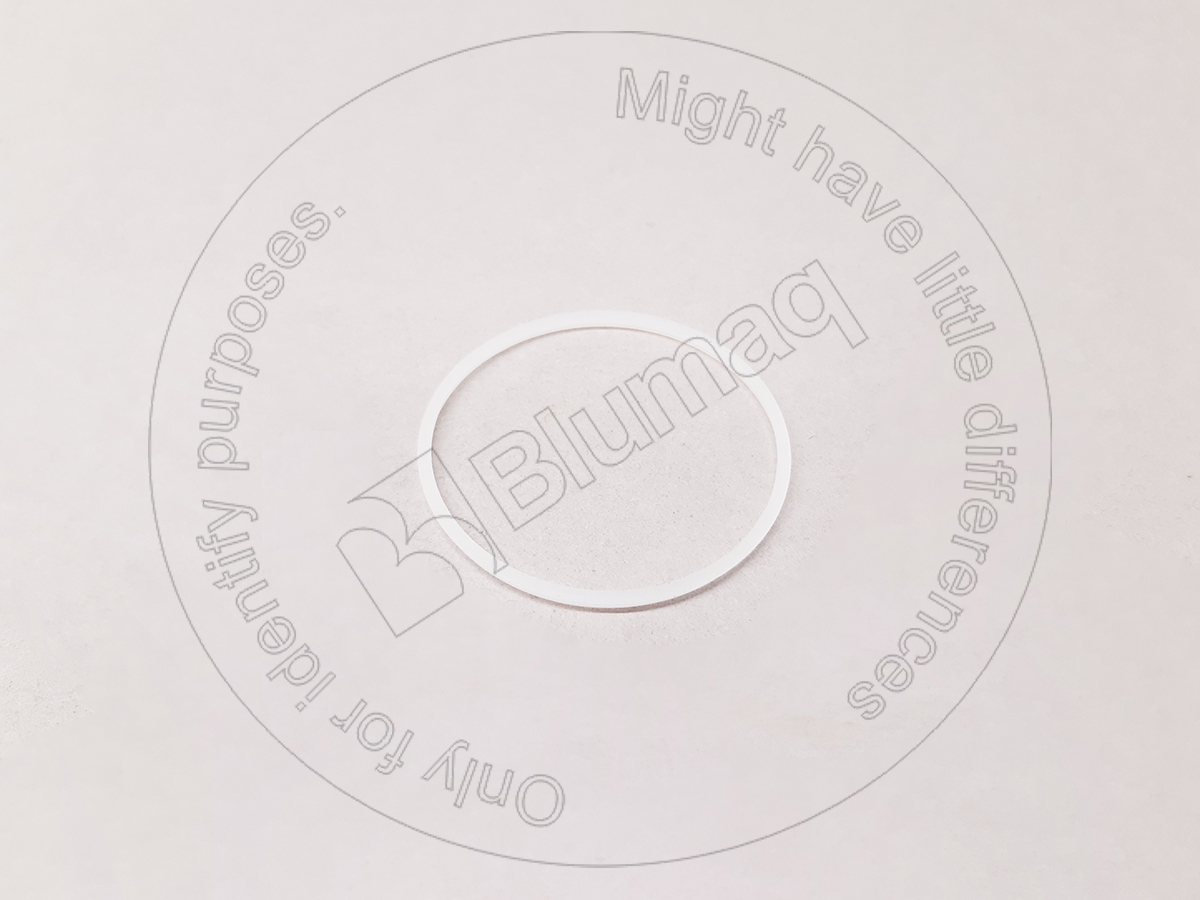 9J-4963 Segment for BLUMAQ