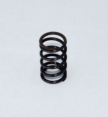237025A1 Spring