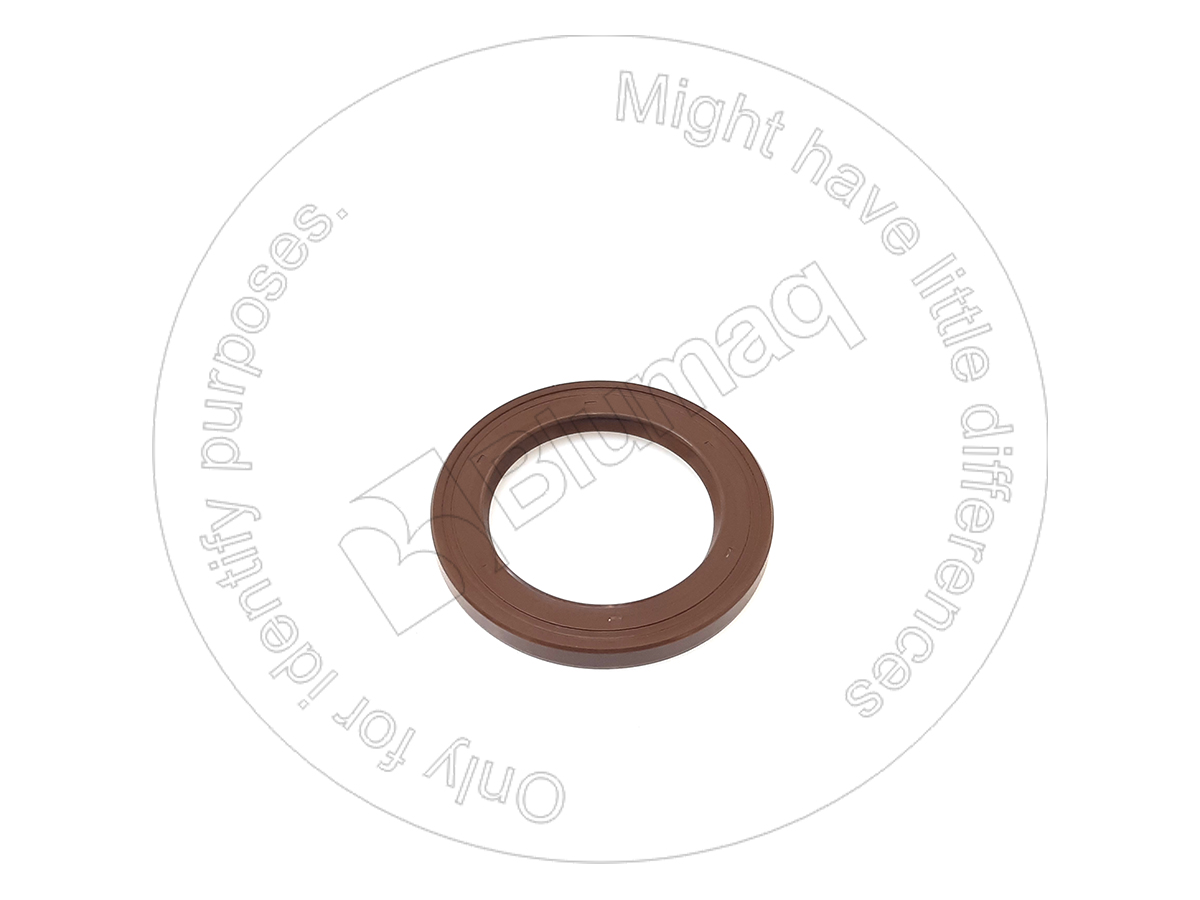 CS153318539 CASE Seal