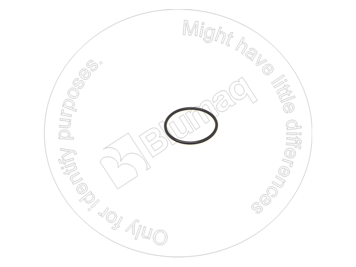 095-1557 Seal O-ring for BLUMAQ