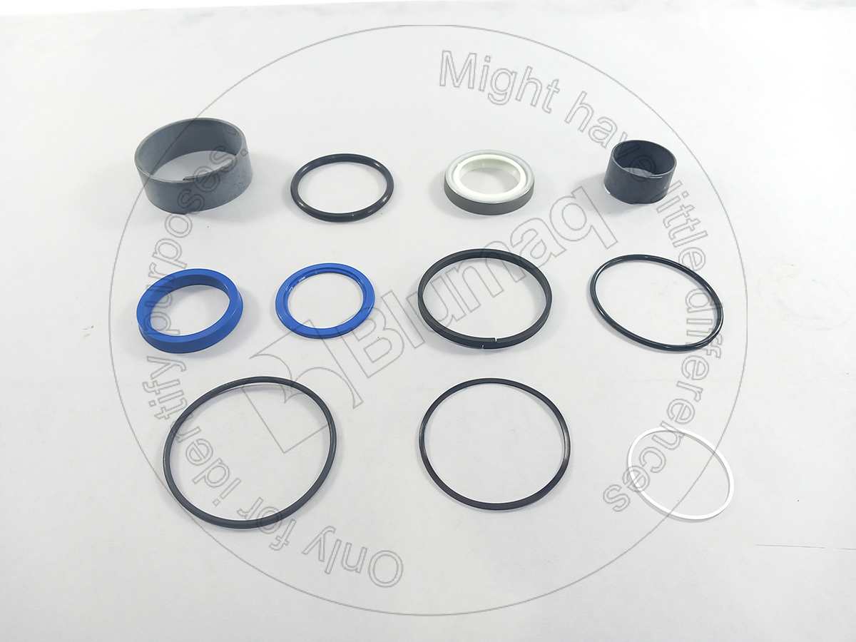 260-0273 Hydraulic Seal Kit for BLUMAQ