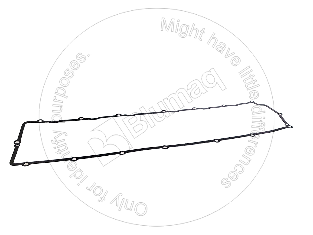294-1705 Gasket for BLUMAQ
