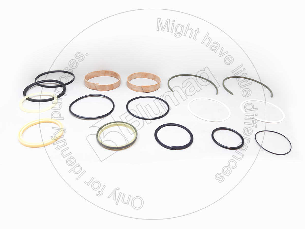 900.02861 Stick Hyd. Seal Kit for BLUMAQ