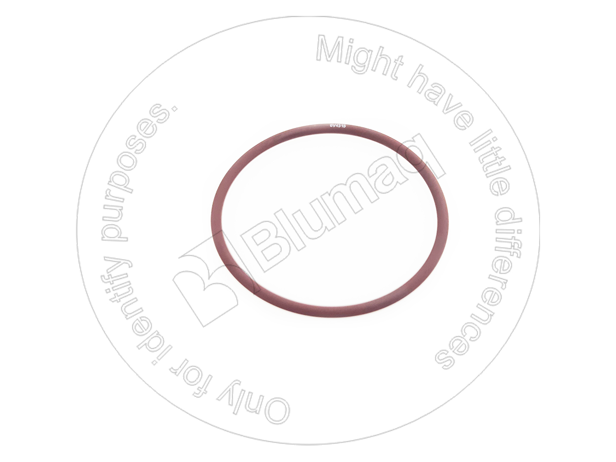 6V-4315 Seal O-ring