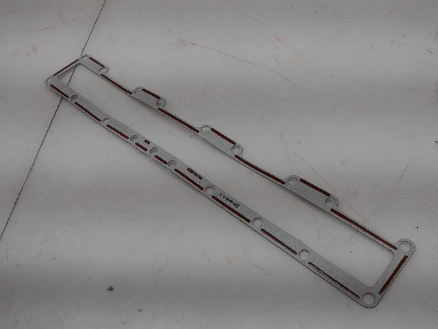 3970134 Gasket