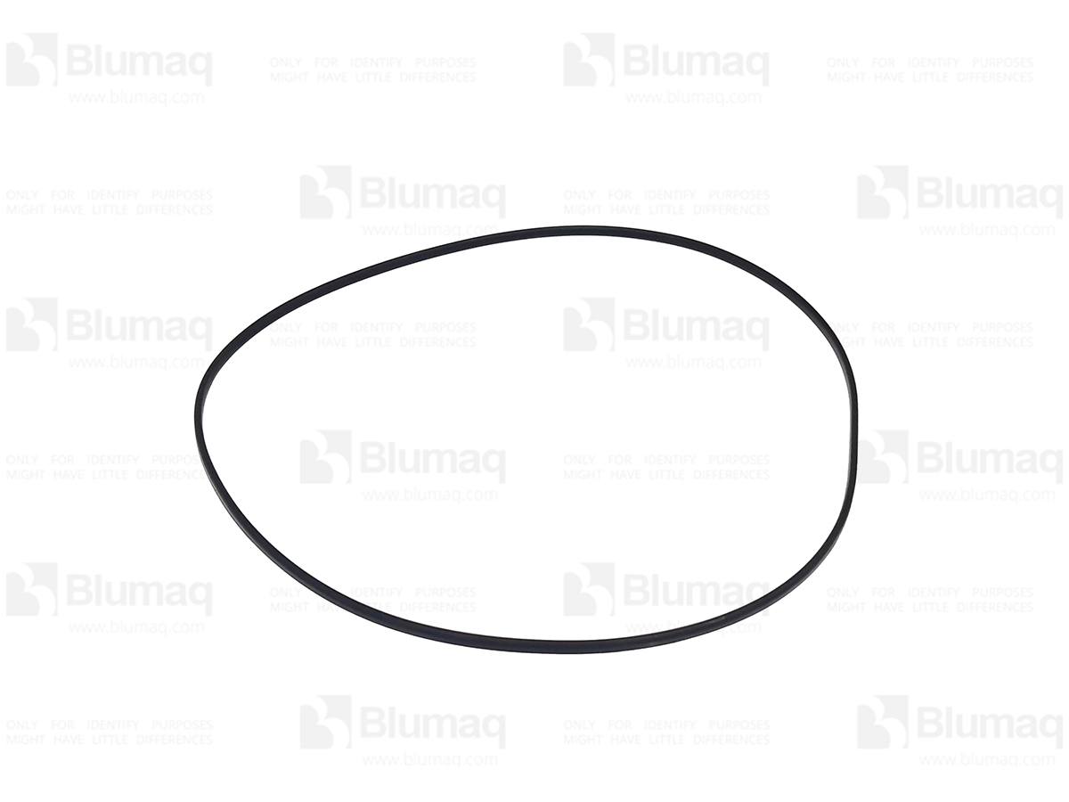 4D-5497 Seal D Ring for BLUMAQ