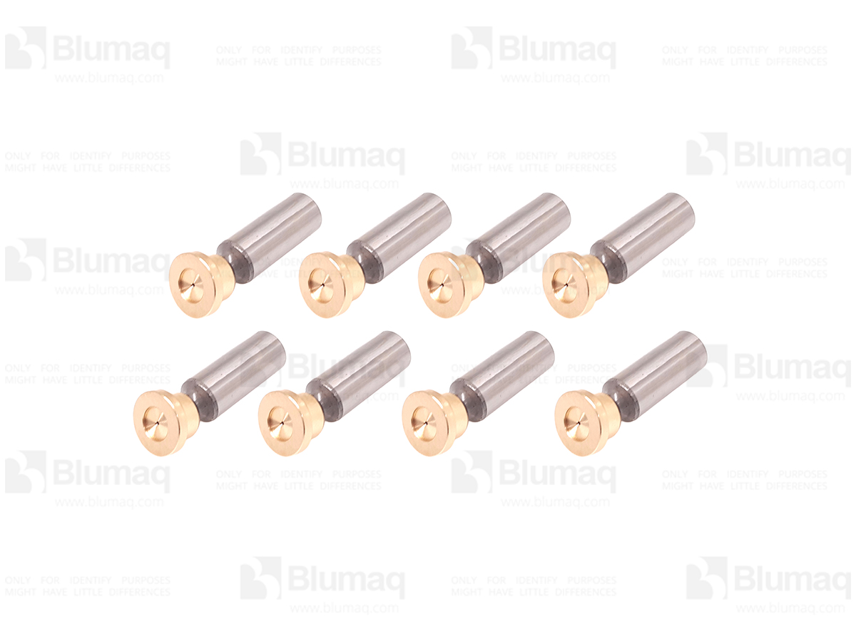 189-4724 Hyd. Piston Set for BLUMAQ
