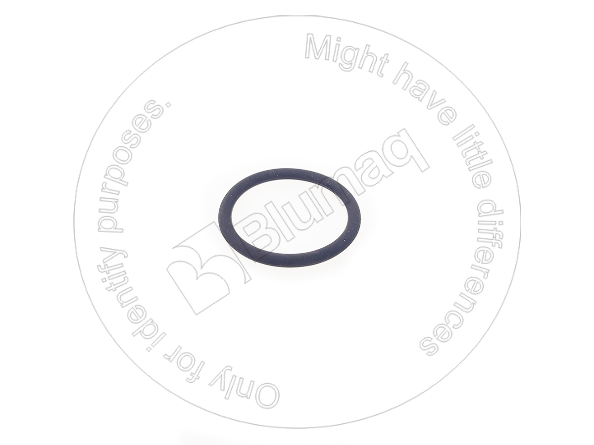 07000-E3032 Seal O-ring