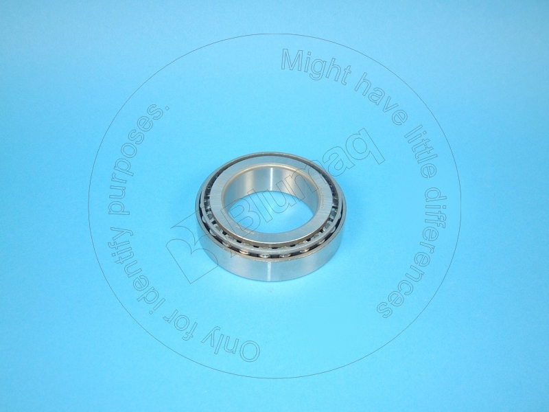 CSS301834 CASE Roller Bearing