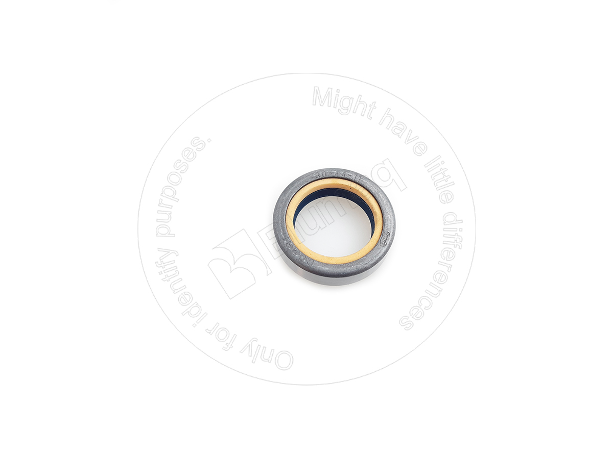 BC75252.7 Seal for BLUMAQ