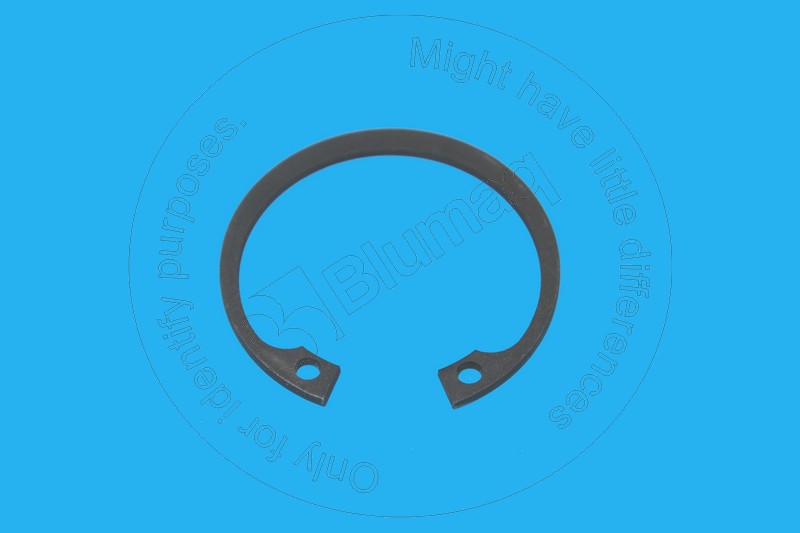 YM22252000380 Snap Ring