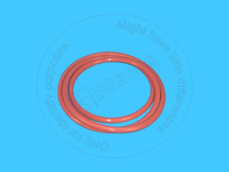 314-4129 Seal O-ring for BLUMAQ