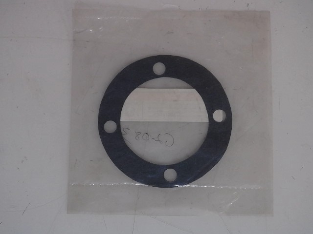 AUB151069 Shim for CASE NEW HOLLAND