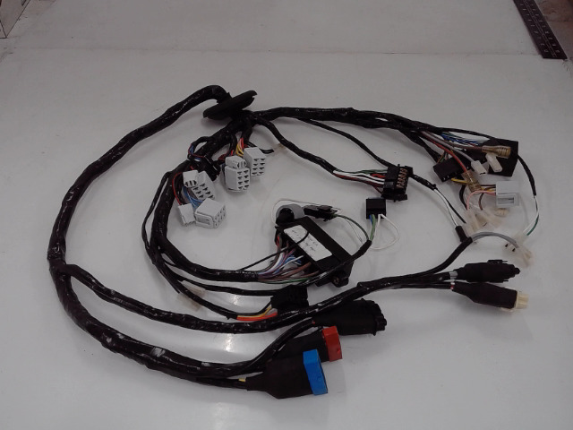 1695882M97 AGCO Harness