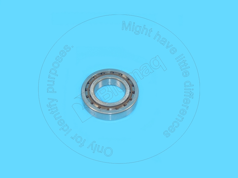 06033-00209 Bearing for KOMATSU