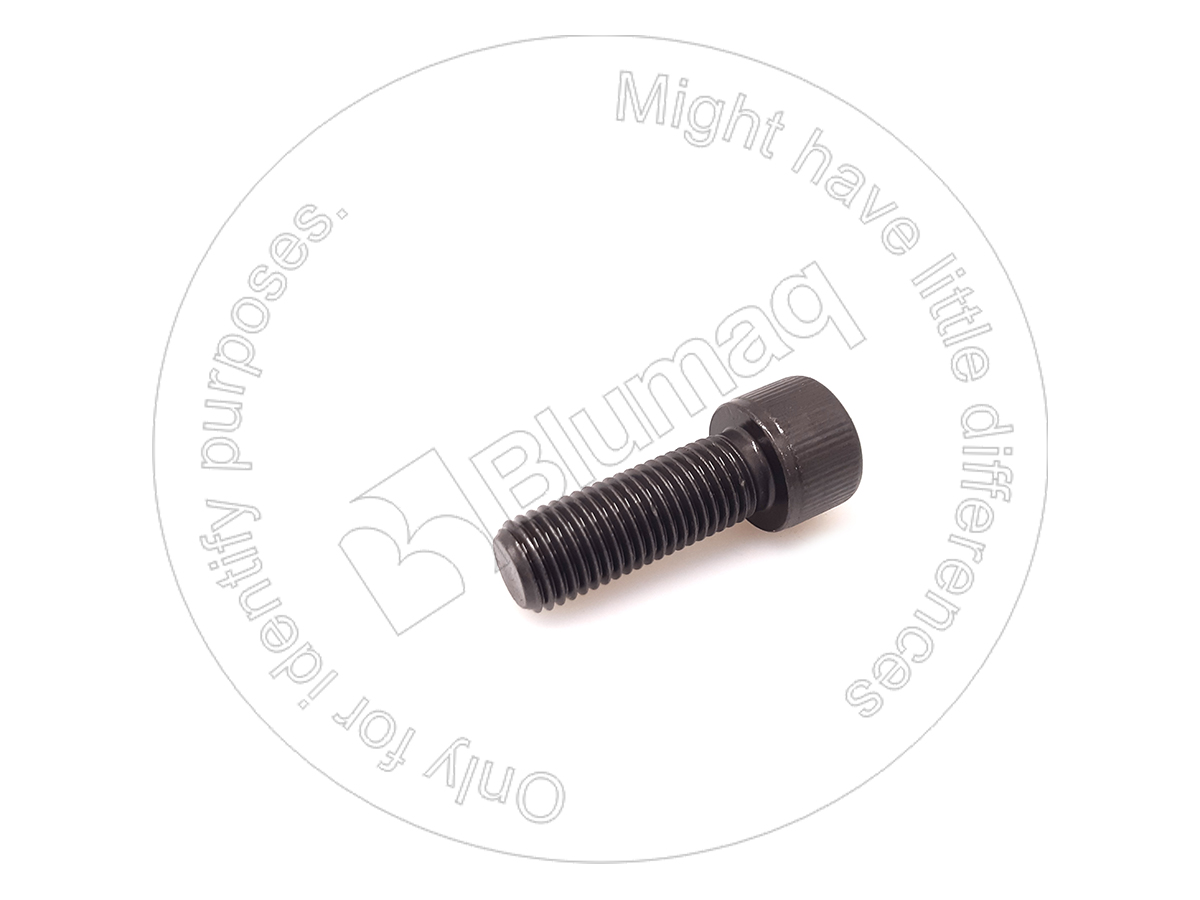 199-0643 Allen Bolt