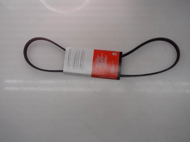 1739338 Belt for AGCO
