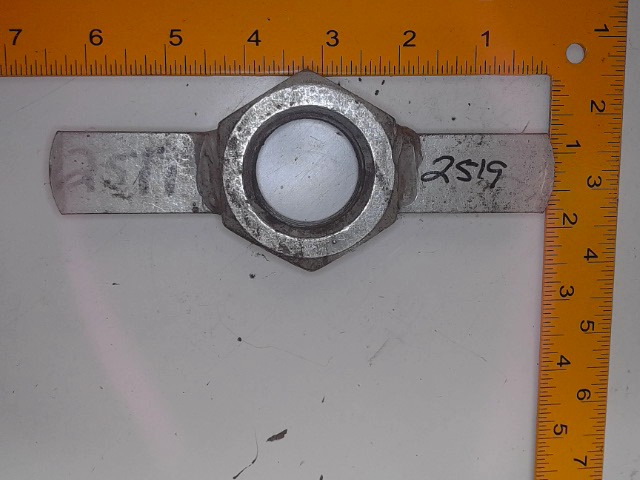 SN2519 AGCO Wing Nut