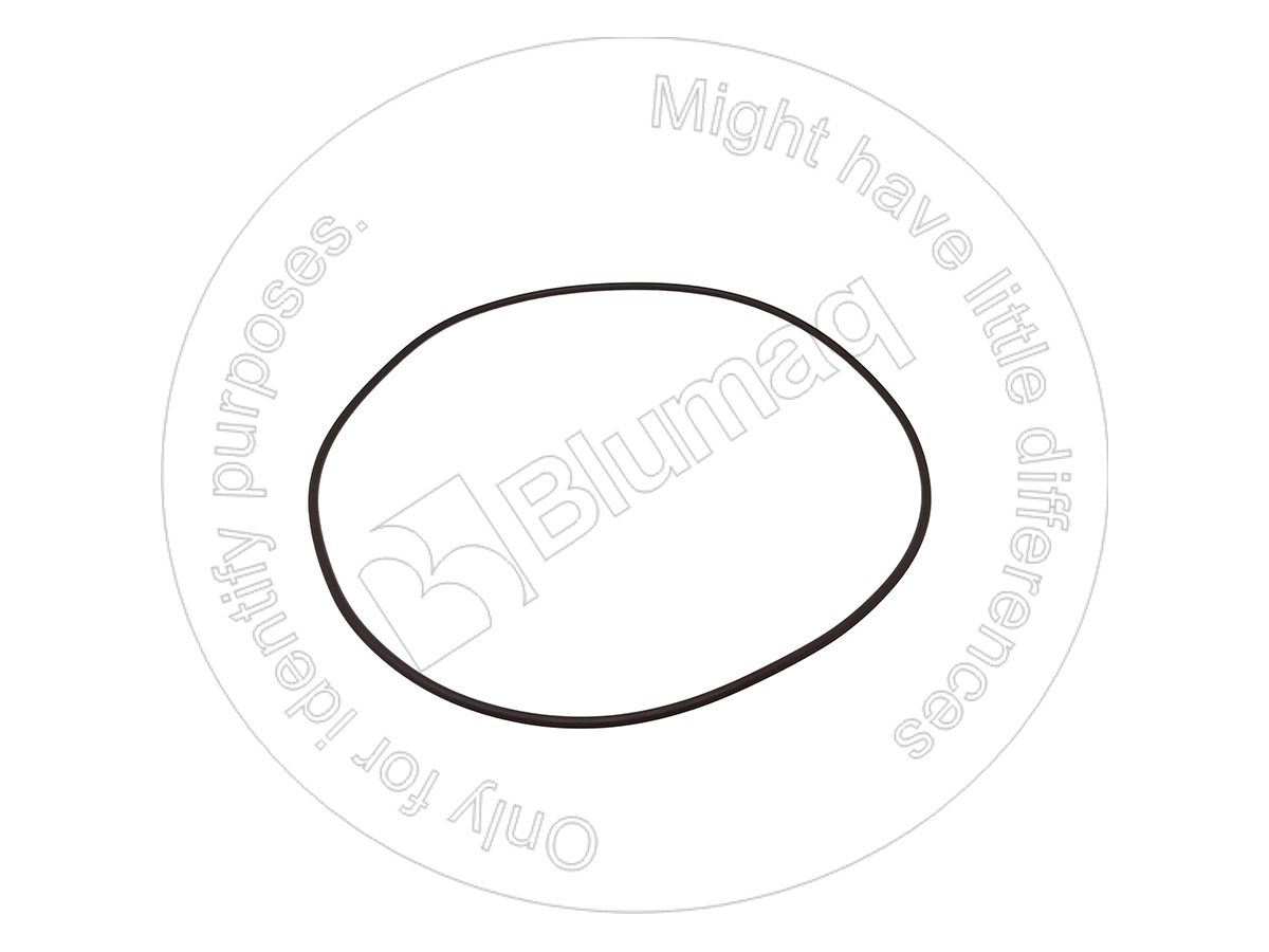 6V-3602 Seal O-ring for BLUMAQ