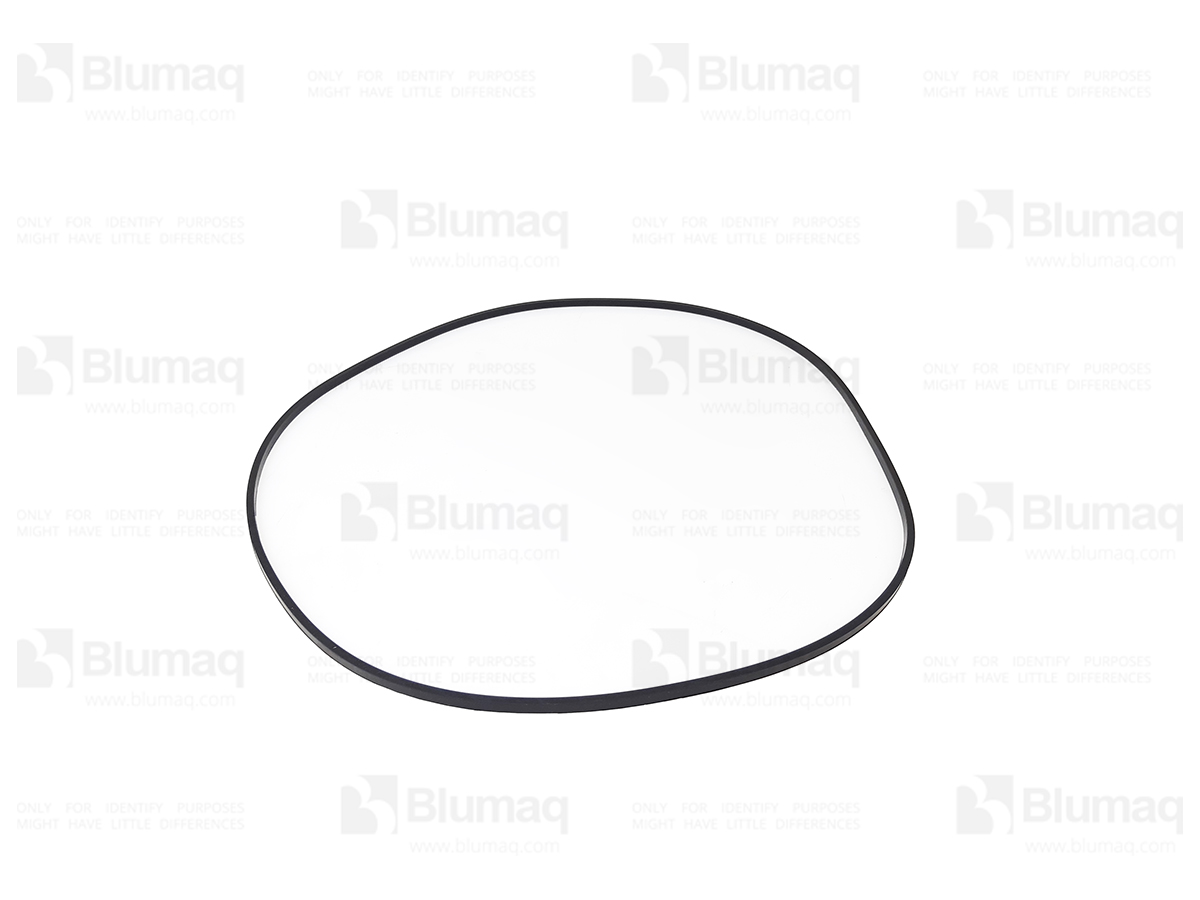 2D-8363 Seal O-ring for BLUMAQ