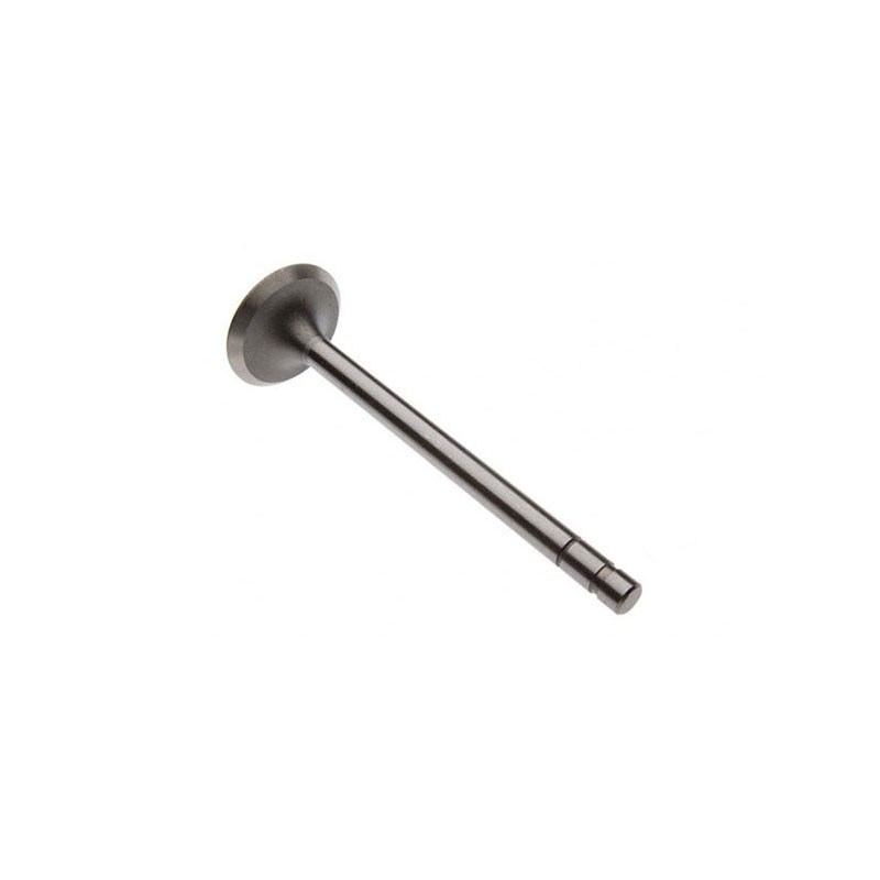 D4153631 Intake Valve for RELIANCE POWER