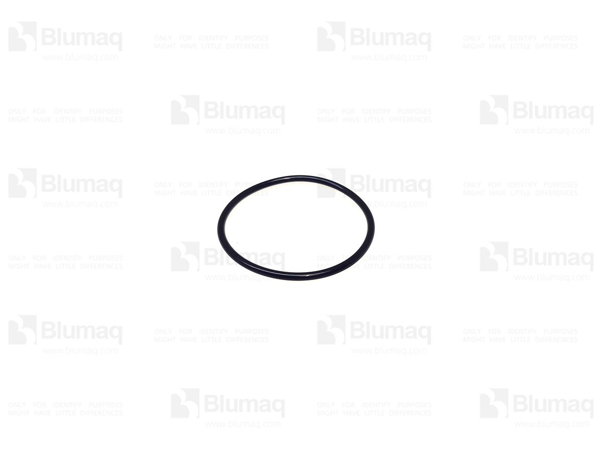 110-4743 BLUMAQ Seal O-ring