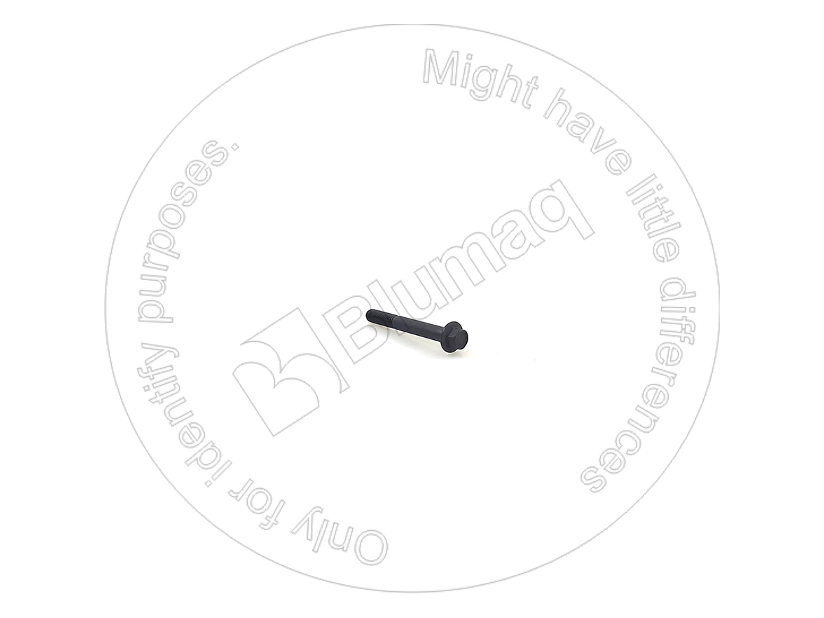 CS854-10080 Flanged Bolt for BLUMAQ