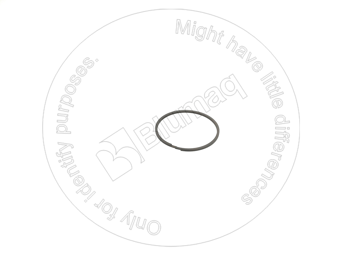 VO4871048 Ring for BLUMAQ