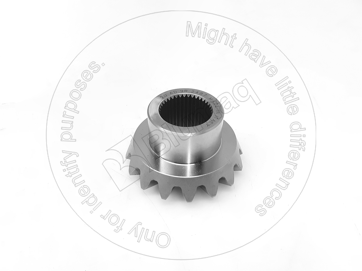 CS81803445 Ring Gear
