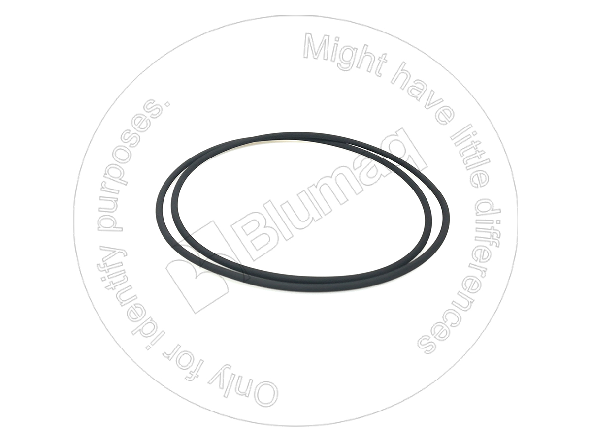 5M-6200 Seal O-ring for BLUMAQ