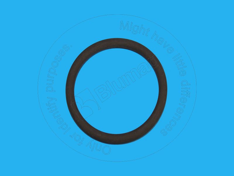 07000-F5055 Seal O-ring for BLUMAQ
