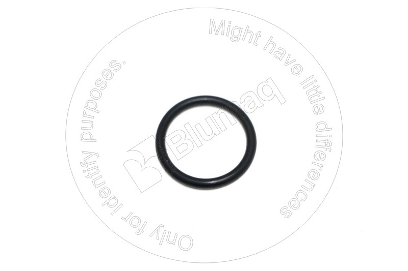 DK29631-606 Seal O-ring for BLUMAQ
