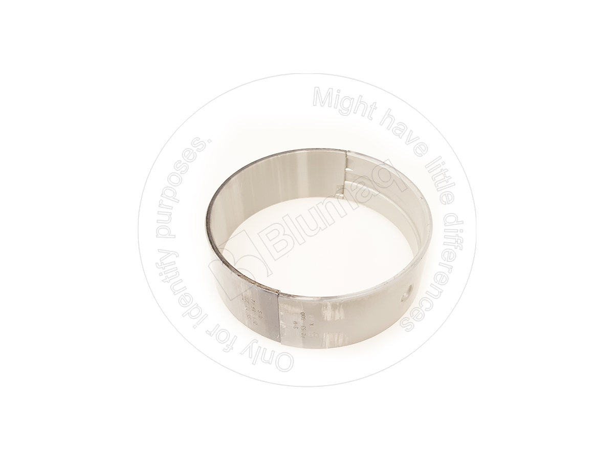 77842600 BLUMAQ Main Bearing Std.