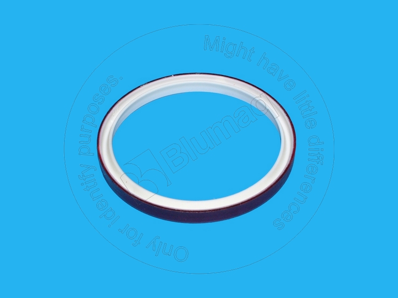 CRPAK65X75X7-L Wiper Seal for BLUMAQ