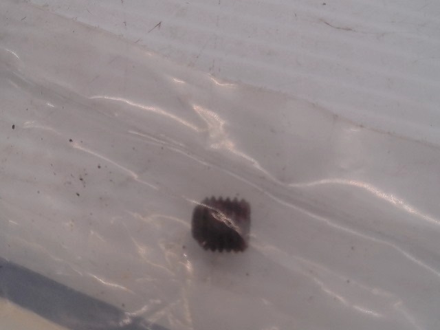 84-55 Set Screw for CUB CADET