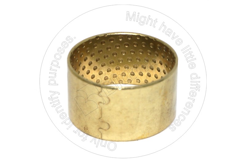 CS1968315C1 Bushing