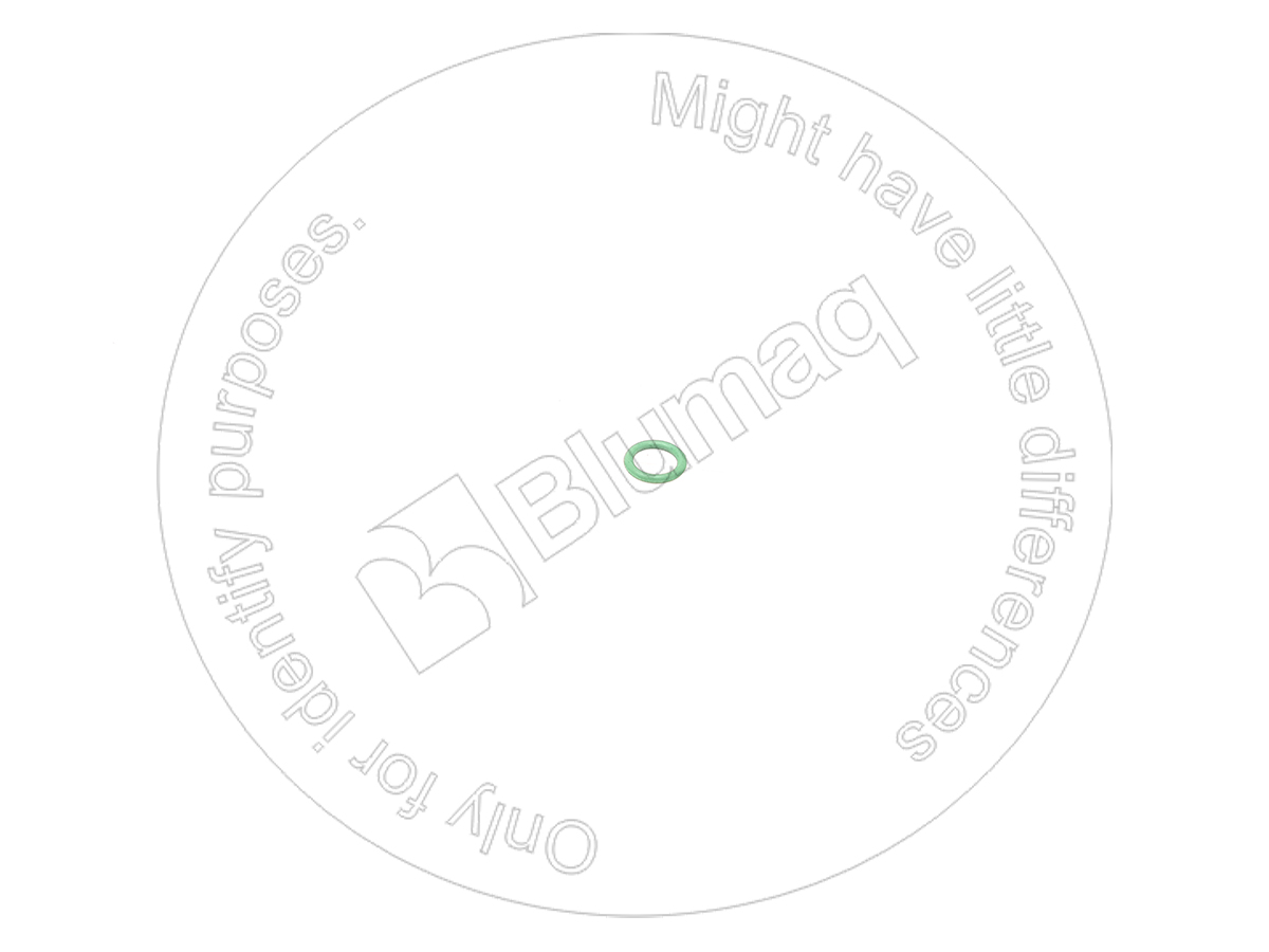 9X-7680 Seal O-ring for BLUMAQ
