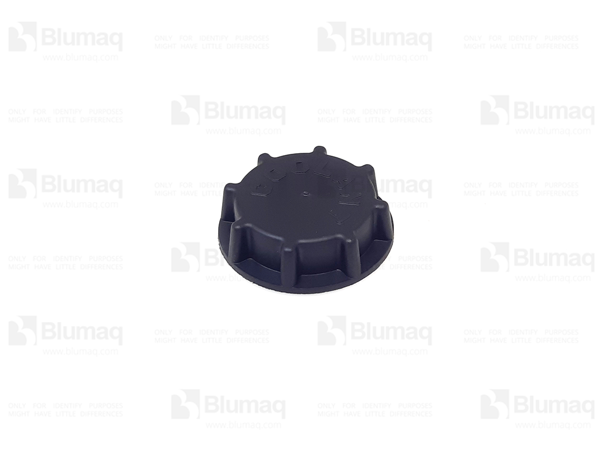 VO3979593 Plug for BLUMAQ