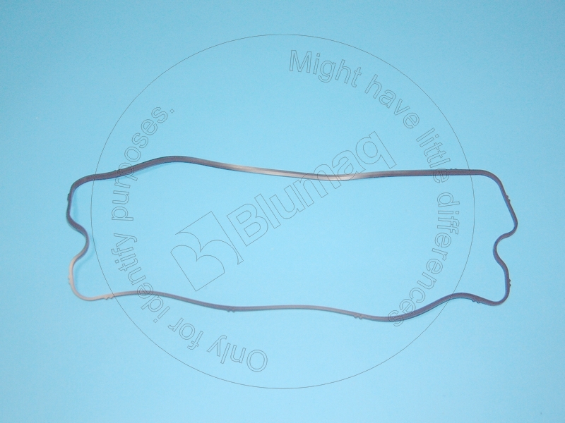 032.455 BLUMAQ Gasket