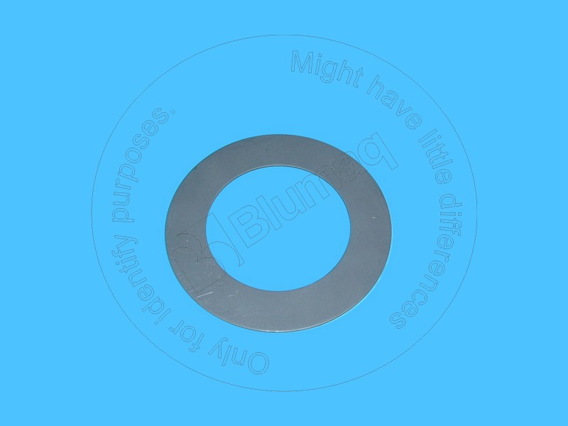 900.01662 Thrust Washer for BLUMAQ