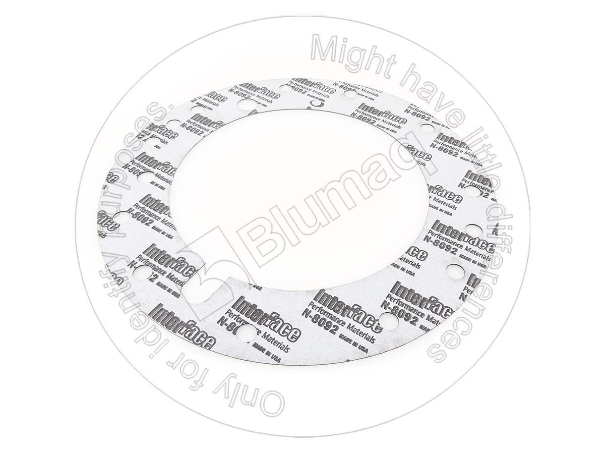 1T-1925 Gasket for BLUMAQ