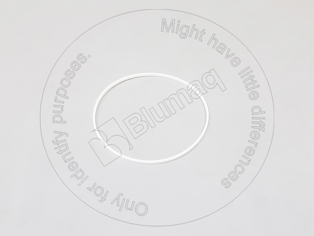 9P-1331 Segment for BLUMAQ