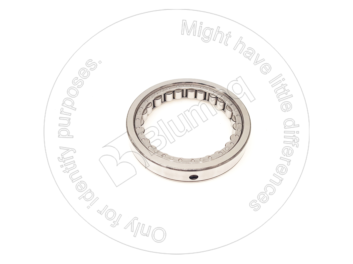 8M-6405 Bearing for BLUMAQ