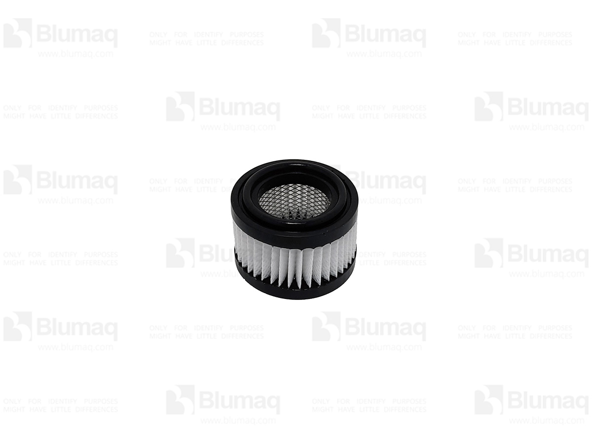 HY31EE-02110 Element for BLUMAQ
