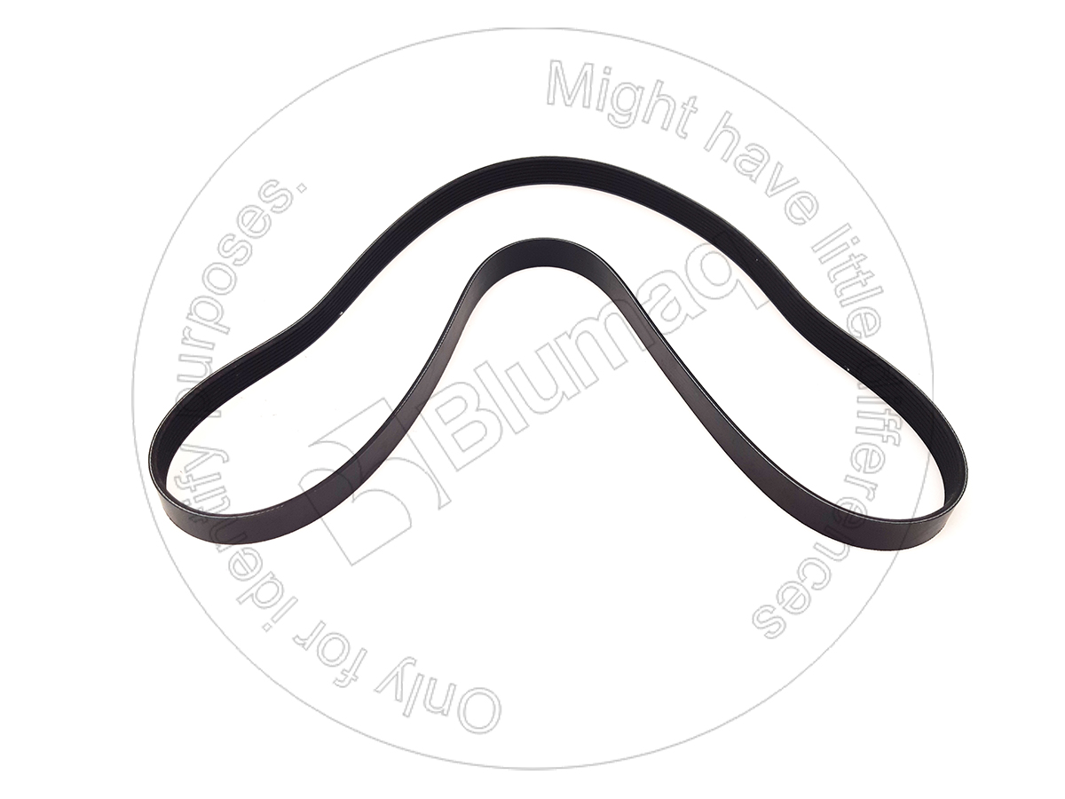 CU3915768 BLUMAQ Belt