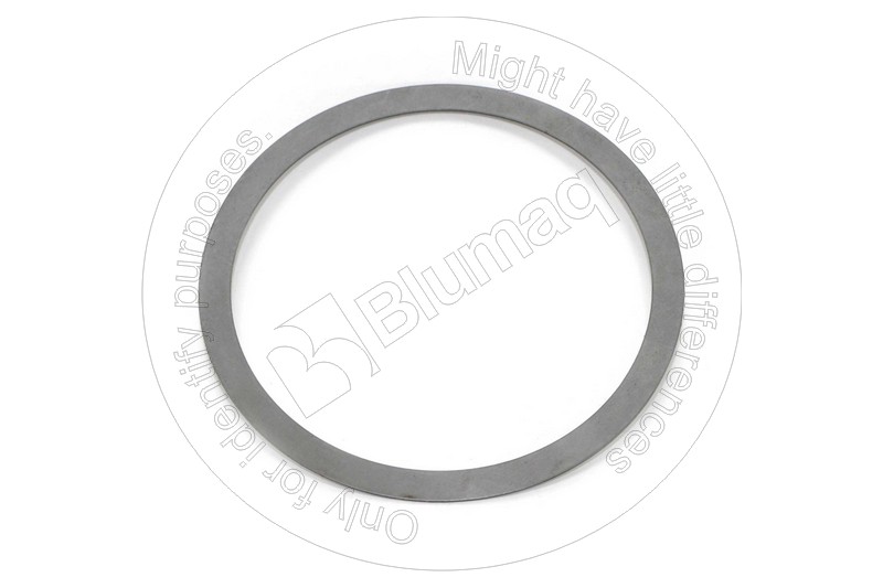 CS8603231 Shim