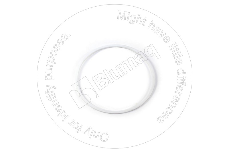 122-1875 Seal for BLUMAQ