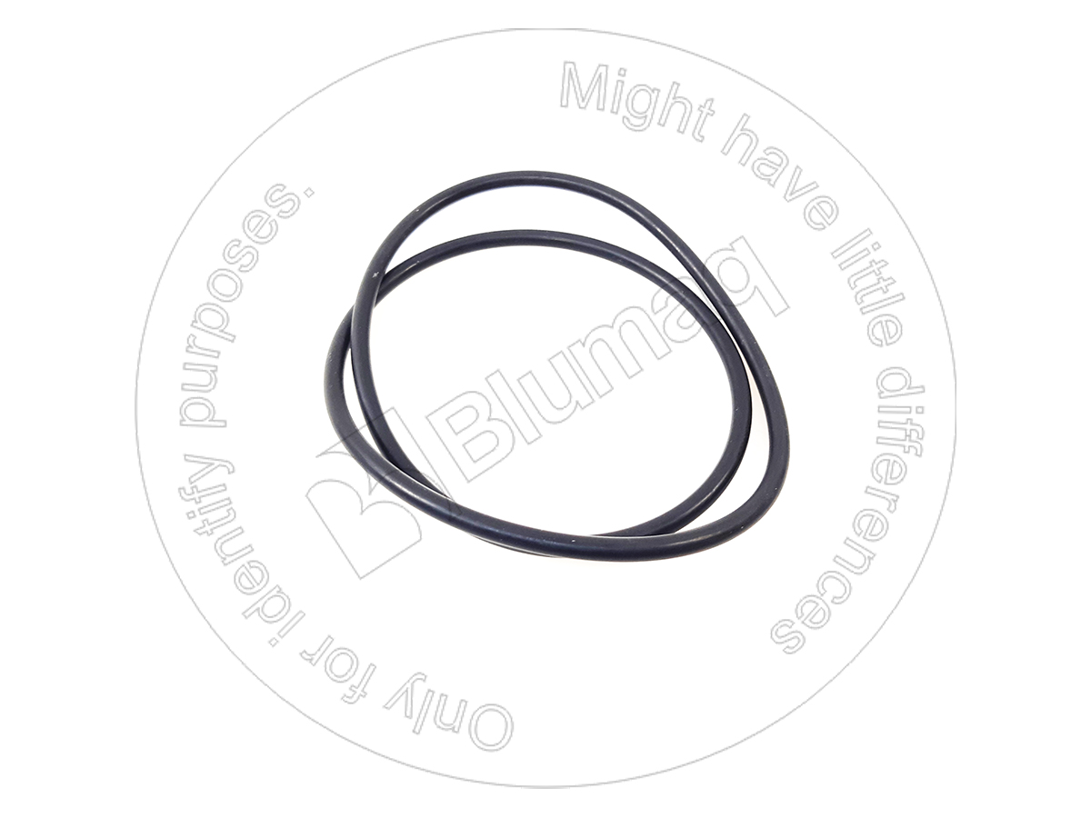 951736 Seal O-ring